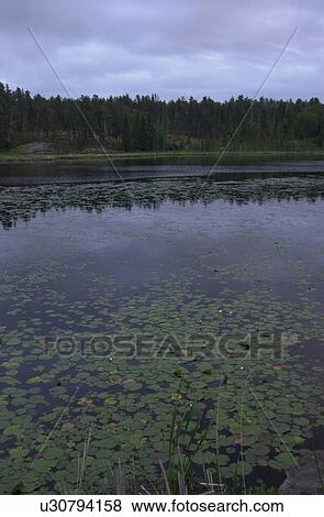Stock Photo - Manitoba Prairie Scenes. Fotosearch