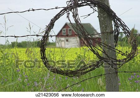 Stock Photograph - Manitoba Prairie Scenes. Fotosearch