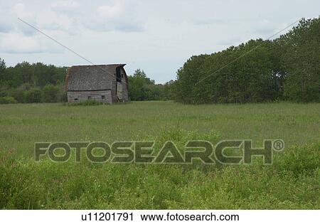 Stock Image - Prairie Scenes. Fotosearch