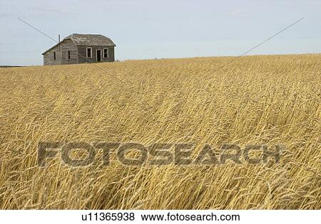 Stock Photo - Prairie Scenes. Fotosearch
