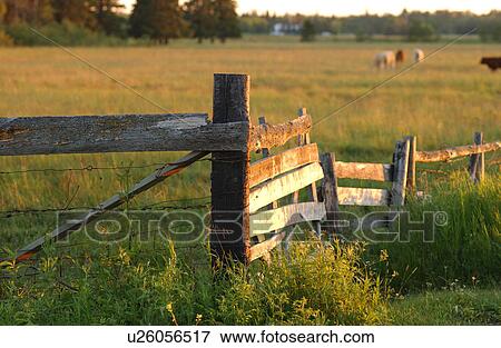 Rural area around Gimli, Manitoba View Large Photo Image Stock Photo - Rural area around Gimli, Manitoba. Fotosearch