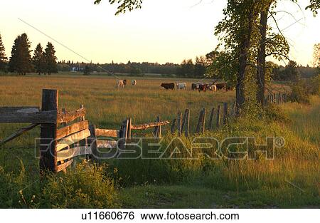 Stock Photograph - Rural area around Gimli, Manitoba. Fotosearch