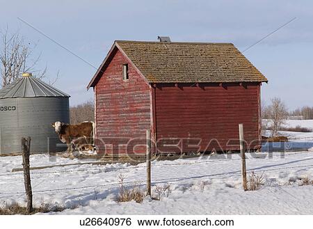 Stock Photograph - Farm in Northern Alberta. Fotosearch