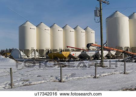 Granaries in Northern Alberta View Large Photo Image Stock Photograph - Granaries in Northern Alberta. Fotosearch