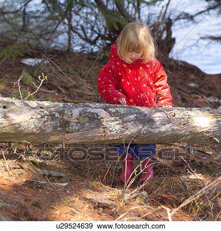 Close-up of a young girl looking down at a fallen tree View Large Photo Image Stock Photo - Close-up of a young girl looking down at a fallen tree. Fotosearch