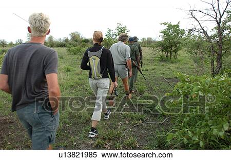 African Safari - morning hike Kruger National Park - South Africa View Large Photo Image Stock Photography - African Safari - morning hike Kruger National Park - South Africa. Fotosearch