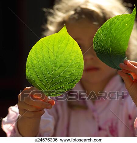Stock Photograph - Close-up of leaves in a young girls hands. Fotosearch