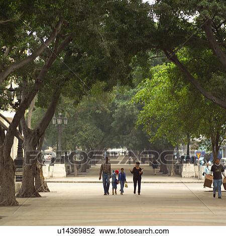 Family walking in a park View Large Photo Image Stock Image - Family walking in a park. Fotosearch