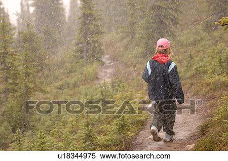 Girl walking down path in forest View Large Photo Image Stock Photography - Girl walking down path in forest. Fotosearch