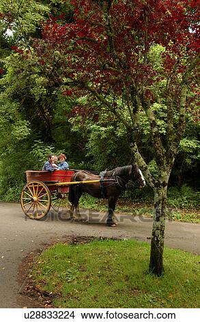 Horse and cart on road View Large Photo Image Picture - Horse and cart on road. Fotosearch