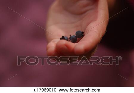 Stock Image - Lake lifestyle. Fotosearch