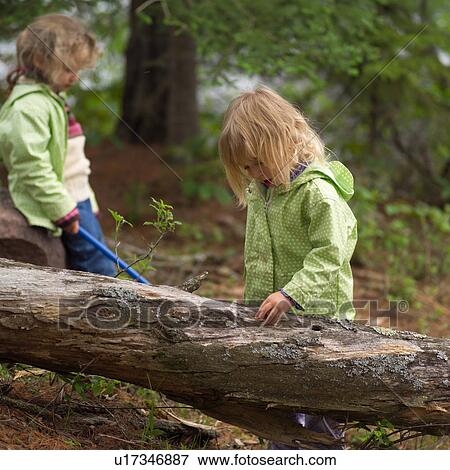 Two young girls playing near a fallen tree in the woods View Large Photo Image Stock Photo - Two young girls playing near a fallen tree in the woods. Fotosearch
