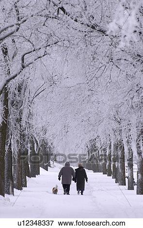 Winter Scenes View Large Photo Image Stock Photo - Winter Scenes. Fotosearch