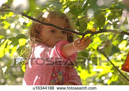 Stock Photo - Young girl reaching. Fotosearch