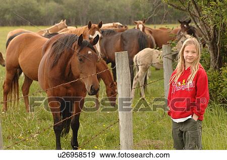 Young girl standing by horses behind a fence View Large Photo Image Stock Photo - Young girl standing by horses behind a fence. Fotosearch