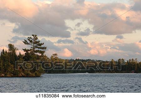 Picture - Lake of the Woods with sun setting. Fotosearch