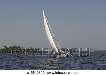Sailboat at Lake of the Woods View Large Photo Image Stock Image - Sailboat at Lake of the Woods. Fotosearch