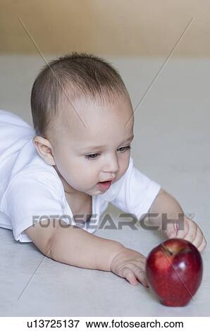Stock Photo - Baby boy reaching towards an apple. Fotosearch