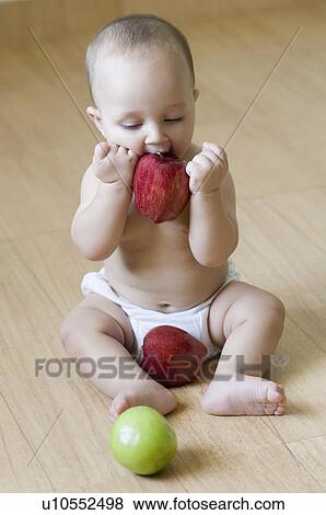 High angle view of a baby sitting on the hardwood floor and eating an apple View Large Photo Image Stock Photo - High angle view of a baby sitting on the hardwood floor and eating an apple. Fotosearch
