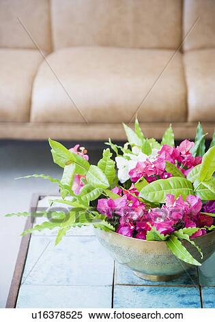 Close-up of a bowl of flowers on a table in a living room View Large Photo Image Stock Photography - Close-up of a bowl of flowers on a table in a living room. Fotosearch