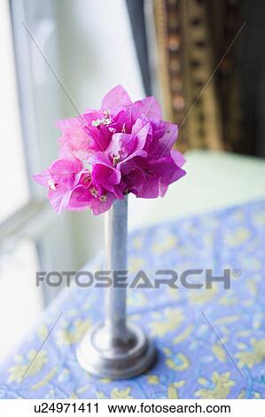 Close-up of flowers in a vase View Large Photo Image Stock Image - Close-up of flowers in a vase. Fotosearch