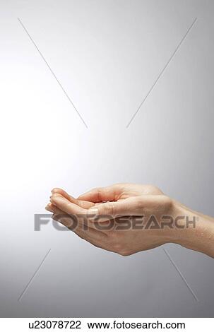 Cupped hands, close-up View Large Photo Image Stock Image - Cupped hands, close-up. Fotosearch