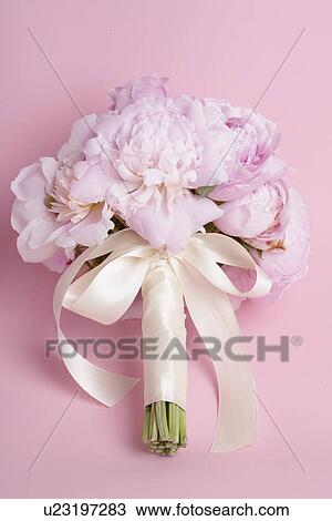 Bunch of Peonies View Large Photo Image Stock Image - Bunch of Peonies. Fotosearch