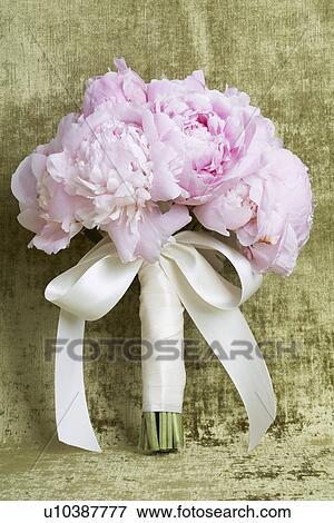 Bunch of Peonies View Large Photo Image Stock Photo - Bunch of Peonies. Fotosearch
