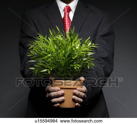 Businessman Holding Houseplant View Large Photo Image Picture - Businessman Holding Houseplant. Fotosearch