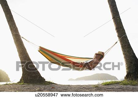 Mid adult man sleeping in hammock, St. John, US Virgin Islands, USA View Large Photo Image Stock Photo - Mid adult man sleeping in hammock, St. John, US Virgin Islands, USA. Fotosearch