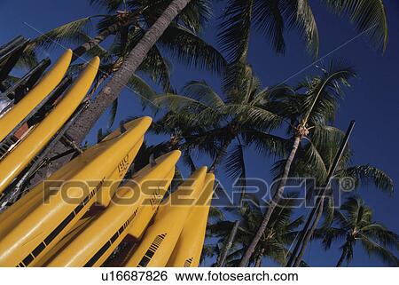A Yellow Surfboard View Large Photo Image Stock Photograph - A Yellow Surfboard. Fotosearch