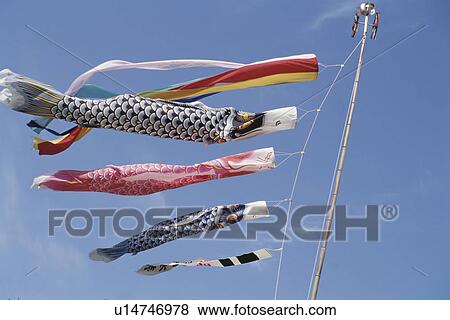 Stock Photo - Carp Streamer. Fotosearch