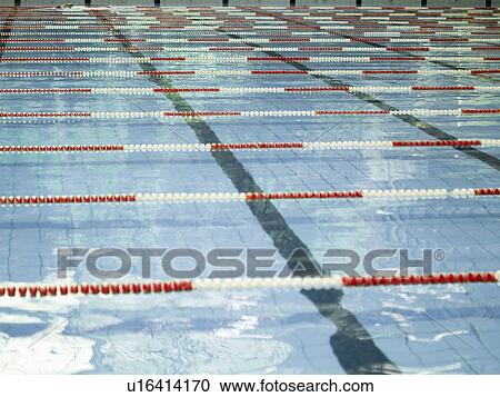Swimming pool with lane markers (close-up) View Large Photo Image Stock Image - Swimming pool with lane markers (close-up). Fotosearch