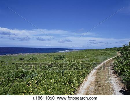The Way Of The Beach View Large Photo Image Stock Image - The Way Of The Beach. Fotosearch
