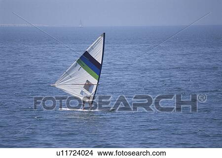 Picture - Windsurfing. Fotosearch