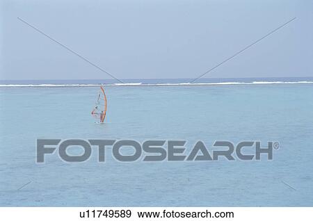 Stock Photo - Windsurfing. Fotosearch
