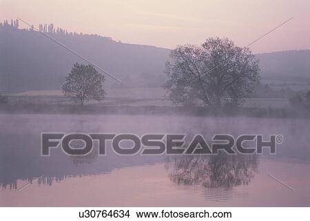 Picture - A Forest And A Lake. Fotosearch