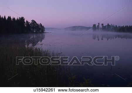 A Forest And A Lake View Large Photo Image Stock Image - A Forest And A Lake. Fotosearch