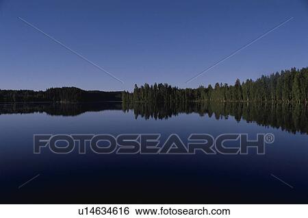 A Forest And A Lake View Large Photo Image Stock Photograph - A Forest And A Lake. Fotosearch