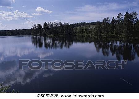 Stock Photograph - A Forest And A Lake. Fotosearch