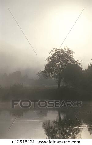 A Misty Puddle View Large Photo Image Stock Image - A Misty Puddle. Fotosearch