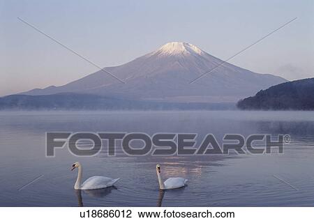 Mt. Fuji And Lake Yamanaka View Large Photo Image Stock Image - Mt. Fuji And Lake Yamanaka. Fotosearch
