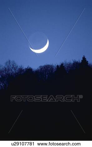 A Crescent And A Forest View Large Photo Image Stock Image - A Crescent And A Forest. Fotosearch