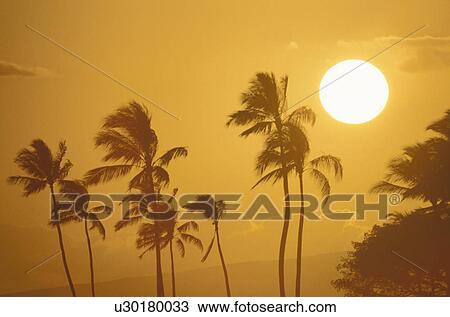 Stock Image - Setting Sun. Fotosearch