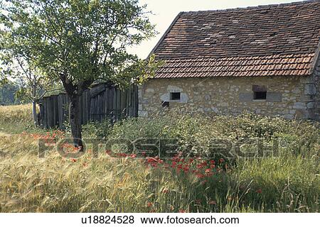 Stock Photo - The House With Red Brick And A Tree In France. Fotosearch