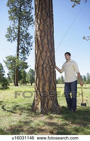 Young man with axe standing by tree View Large Photo Image Stock Photograph - Young man with axe standing by tree. Fotosearch