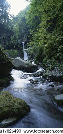 Clear Stream View Large Photo Image Stock Image - Clear Stream. Fotosearch