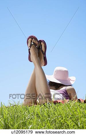 Young woman lying on grass (rear view) View Large Photo Image Stock Photo - Young woman lying on grass (rear view). Fotosearch