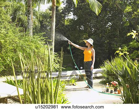 Stock Image - Young woman watering trees. Fotosearch