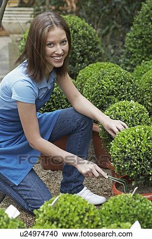 Female florist using garden fork View Large Photo Image Stock Image - Female florist using garden fork. Fotosearch